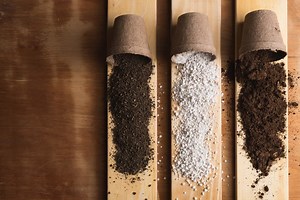 Aroid Soil Mix: Why Should You Use It And How