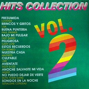 Various - Hits Collection Vol.2