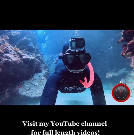 Are you up for the challenge?! Swim through coral reef caves with me! #freediving #coralreef #apneachallenge #apnea #mermaid #spearfishing #underwater