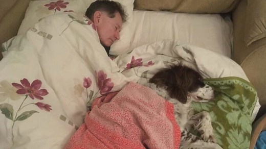Family takes turns sleeping with weak senior dog on the couch