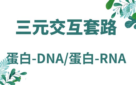 三元交互两类理论，效应变量，主变量，交互变量