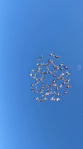 Celebrating the World Skydiving Day with footage from the last World Record done a month ago - 4-point 64-way vertical sequential record 👏👏 📹 Seth Robinson @yeaaaayousethypoo #uspa #skydiving #worldrecord #chasingrecords #dreambig #trainhard #nevergiveup UPT Cookie Helmets CYPRES Sun Path Products, Inc Performance Designs Para Gear #theskyisourplayground #skydivemag | Skydive Mag