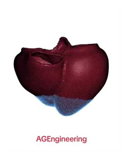 Herz Simulation ❤️ #herz #heart #ansys #engineering #simulation