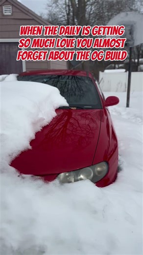 More GTO content this spring?! #cars #carsdaily #automobile #deesyprod