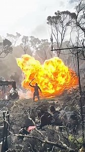 Behind the Scenes : #PredatorBadlands | Predator Fanspage