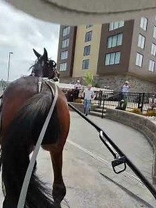 commentary--post race Jailbird Jog April 27th 2026