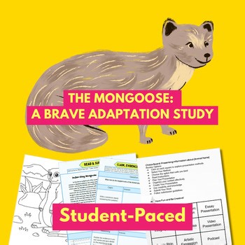 Mongoose Animal Study | Science Literacy & C.E.R. Lesson | Choice Board