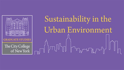 Sustainability and the City