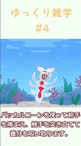 ゆっくり雑学#4 クリオネの捕食方法が怖すぎる #ゆっくり解説