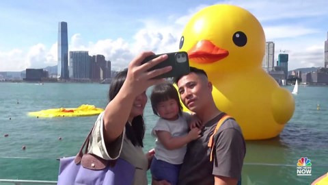 Giant inflatable duck deflates in Hong Kong’s Victoria Harbor