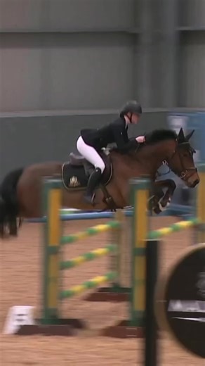 Dolly & Harry: Ticket Collection at RHS Qualifier