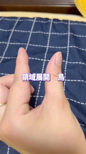 鳥類集合グワ！！🪿 #あみぐるみ#ぬいぐるみ#アヒル#召喚#領域展開