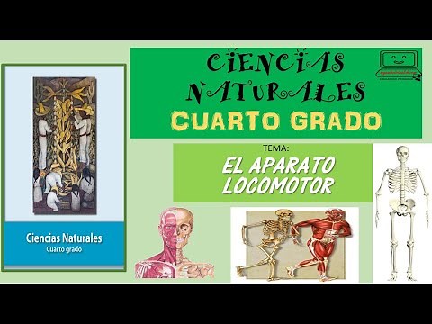 APARATO LOCOMOTOR PRIMARIA CUARTO GRADO