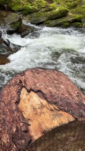 How to Cook the Perfect Steak and Chips