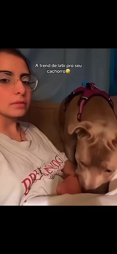 A reação deles🤣#engraçado #viral #pets #cachorro #animaisengraçados #foryou