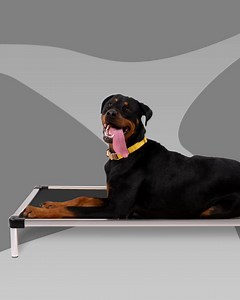 120 reactions · 30 shares | Looking for an indestructible dog bed? If it's not metal, it's not chew proof! K9 Ballistics Chew Proof Armored Elevated Dog Bed™ is the absolute toughest bed we make. And that makes it the toughest bed you'll find anywhere, period! We back it with our 120-Day Chew Proof Promise against any damage from chewing scratching or digging. Get 'em while they're hot.  | K9 Ballistics Dog Beds | Facebook