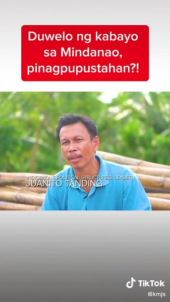 Duwelo ng kabayo sa Mindanao, pinagpupustahan?! #KMJS #NewsPH #SocialNewsPH
