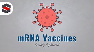 How mRNA Vaccines Work — Simply Explained – Lifeboat News: The Blog