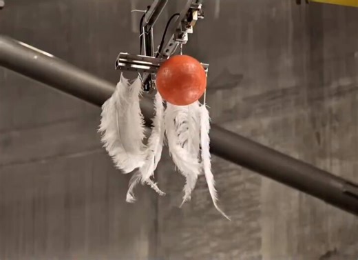 Este experimento demostró la teoría de Galileo al soltar una bola de boliche y plumas en una cámara de vacío, donde ambos objetos caen al mismo tiempo sin importar su masa debido a la falta de aire.
