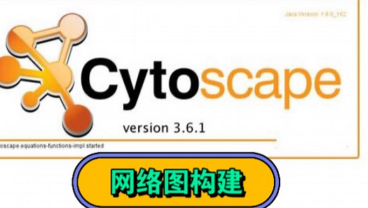 Cytoscape构建网络图，美化，筛选中心节点hub