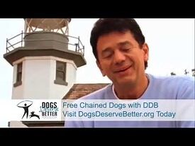 Adrian Zmed Speaks Out for Chained Dogs