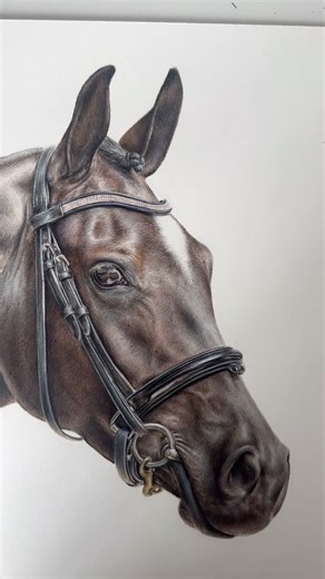 Wow what a response to this piece and the masterclass 🤯✍🏼🐴 I absolutely adored drawing this one and I’m so excited to share with you both the final piece and also the launch of my latest masterclass where I teach you step by step exactly how to draw this gorgeous dark bay horse in real time with full voice over. Available now to download and ok Patreon ✍🏼❤️ | Bethany Vere Artist