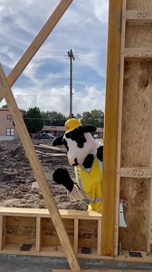 51 reactions | What is Chick-fil-A Victoria thankful for this year??? Our new restaurant being built on a firm (and new-ly poured) foundation where our team can serve our community with care in the near future. And strong walls that went up this week that will create a space for REMARKable experiences to be made for years to come❤️ Just to name a couple! #CFAVictoriaTX | Chick-fil-A Victoria | Facebook