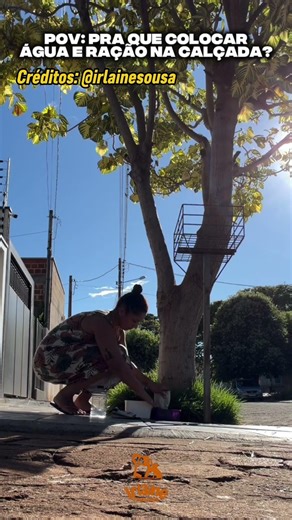 SÓ VAI CURTIR QUEM VIU O FINAL 🥹 #familia #animais #amor #youtubeshorts #shorts