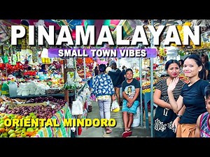 Exploring Pinamalayan 🇵🇭 | Quiet Town Walk in Oriental Mindoro | Food and Night Market Tour