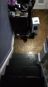 PAINTING A MAILBOX #mailbox has been here and is on the drawing table!