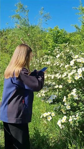 Citizen Science im Zoo Heidelberg