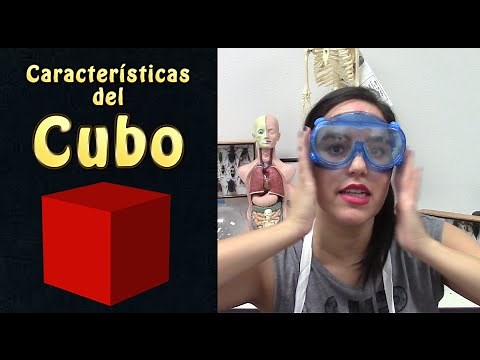 cubo | geometria para principiantes | las características del cubo