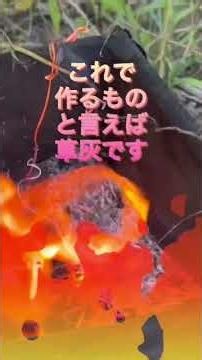 昨年大豊作の網干メロン、その肥料になったのは亀糞でした。今年はその亀糞を、草灰でさらにパワーアップ！ #網干メロン #亀糞 #亀農法 #草灰 #大豊作 #クサガメ #肥料 #ミネラル