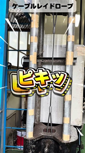 追加試験 ゴクナン‼️ケーブルレイドロープ‼️