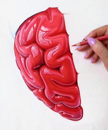 20K views · 208 reactions | Time lapse drawing some of 'Brainheart'. How many minutes do you think this time lapse is of? I'd love to see what you all guess! First person to get it right wins a free print when they release ✨️ #drawing #timelapse #ukartist #pencildrawing #modernart #brain #heart #biology #hyperealism | Hannah Lipsey - Artist | Facebook