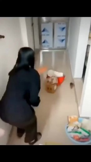 Funny Rat Memes: Hilarious Animal Battles