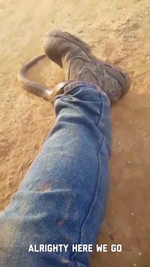 "There's a SNAKE in my boot!" #FailArmy ..#fails #natureathome #funnyf...