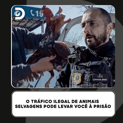 A polícia detém uma família por transportar algo ilegal... animais selvagens... 🐓 Eles se justificarão ou aceitarão a culpa? 👀 #OperaçãoFronteiraBrasil Aproveite o conteúdo da Discovery em streaming na #HBOMax Assine agora: https://bit.ly/MAX-DiscoveryBR | Discovery Brasil