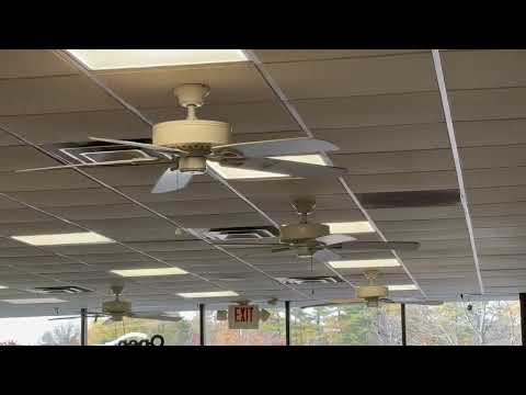 Bonus Video: Harbor Breeze Classic Style Ceiling Fans at a Subway
