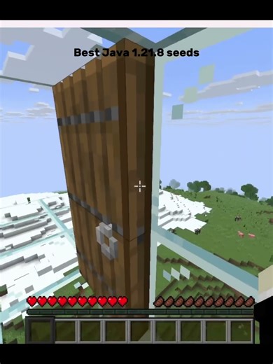 Best Java 1.21.8 seeds #minecraft #funny