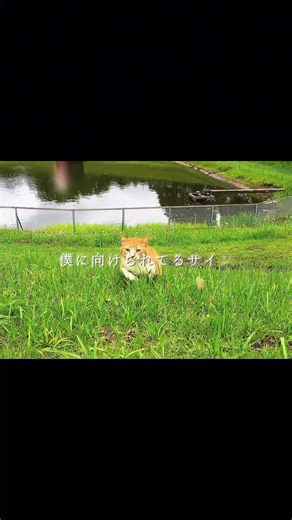 君がいた春は、今も特別🌈🌸 The spring when you were with me is still special to me ☺️