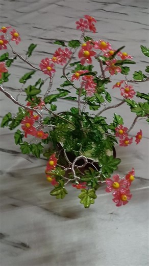 ross (@roserosie460)’s videos with 每天都有好心情 - 欣雨歌