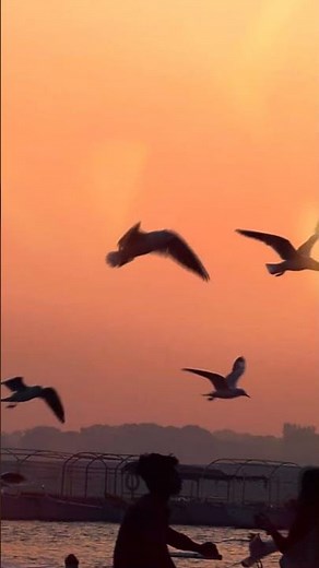 The Ganges River - India
