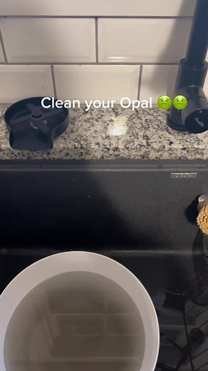 How to Clean Your Opal Ice Maker for Better Health