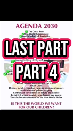 Mentorship Insights: Part 4