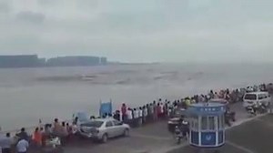 Coffee Break on Reels