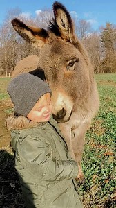 Sometimes all you need are donkey kisses ❤️ (🎥: @kloud9acres) | The Dodo