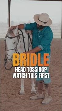 How to Get Your Horse to Lower Their Head for the Bridle