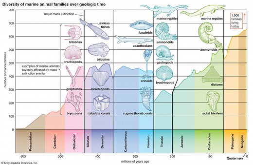 Ordovician-Silurian extinction | Overview & Facts | Britannica