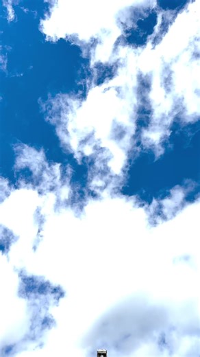 Codona's Amusement Park Freak Out Ride